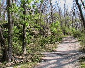 Hickory Grove Trail at Burr Oak Woods Conservation Area