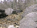 Outcrops along Wapiti trail at George Owens Nature Park