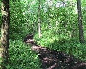 Trail at Overland Park Arboretum